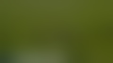 Lamb Of God Now You Got Something To Die For