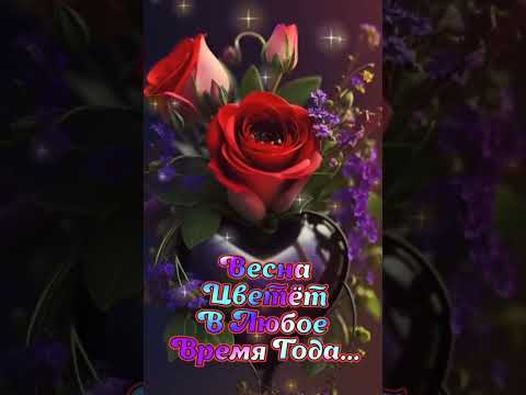 Добрый вечер! Вечерний