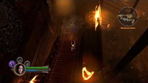 Dungeon Siege III (PC Xbox360 Playstation3) Gameplay Sample