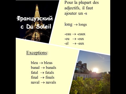 Французский язык с Du Soleil. Урок 29. Множественное число прилагательных. Цвета.