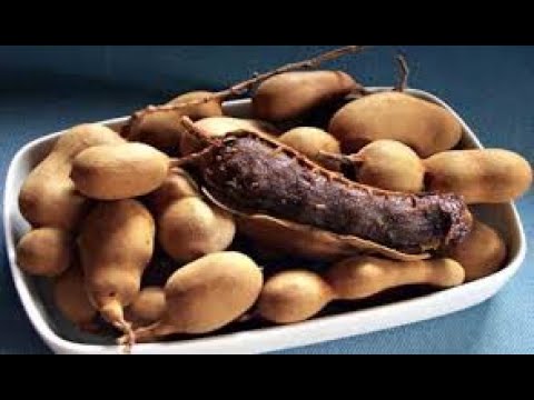 MANFAAT ASAM JAWA YANG JARANG DIKETAHUI! 