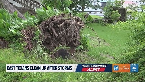 East Texas cleaning up after storm leaves uprooted trees, downed power lines