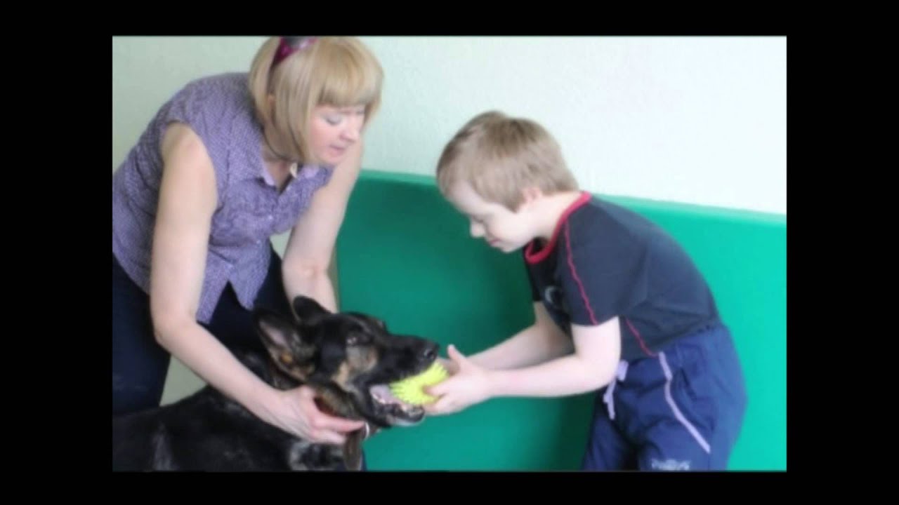 Канистерапия в Ириде - YouTube