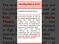 How Negotiations work?