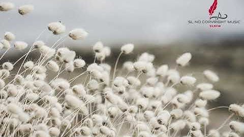 Hozgram Everything SL No Copyright Music - Algorithmic Boost Request - 2000000 #YTBoostRequest