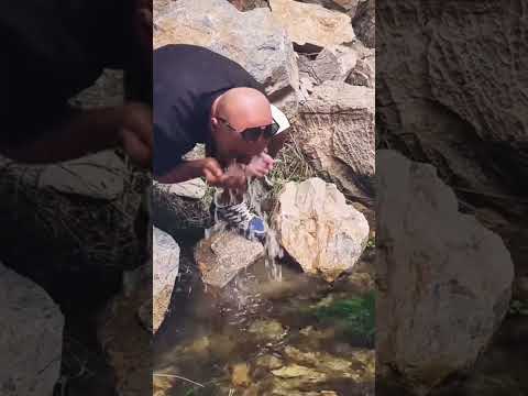 عين من باطن الأرض اكتشاف المغرب الرحال نبلي الحوز