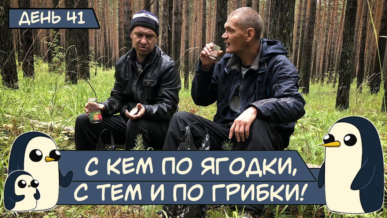 (День 41) С кем по ягодки, с тем и по грибки! - YouTube