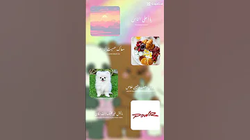 يا أحلى الناس معك حسيت انا احساس مالوش وصف و حبيبي خلاص ماليش غير قلبك انت مكان 
