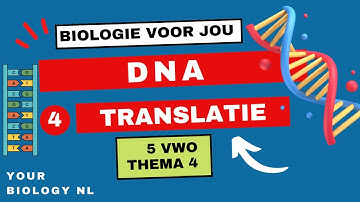 5 vwo | DNA | 4 | Translatie