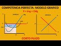 Modelo Gráfico del Mercado de Competencia Perfecta