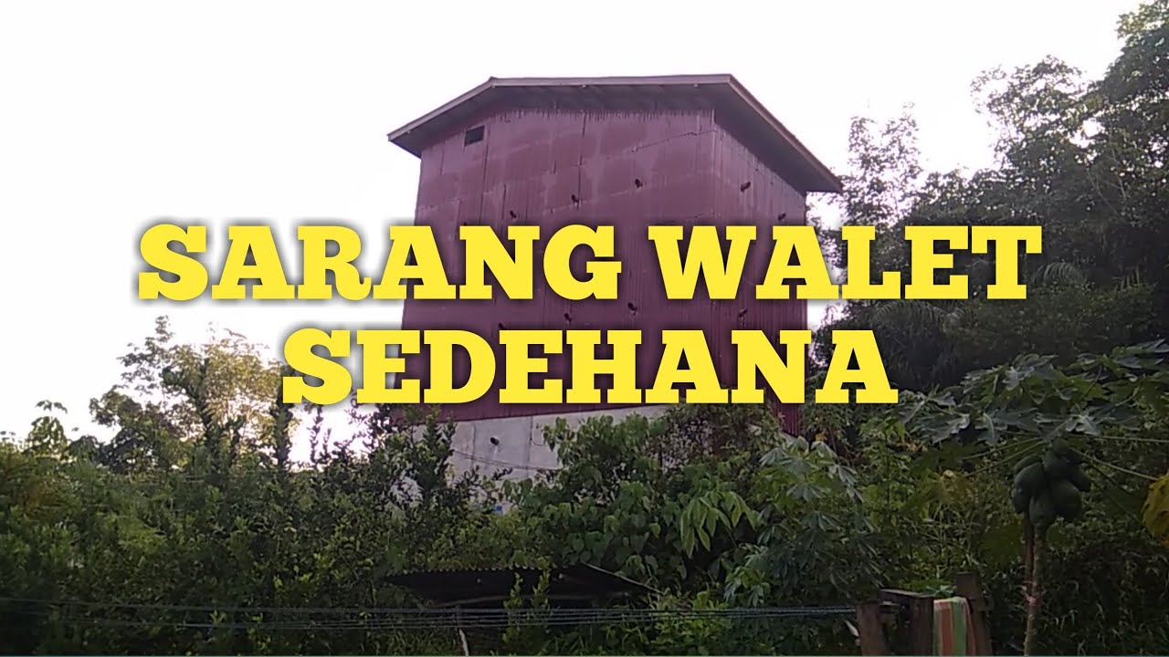 Sarang Walet Sederhana 4 X 8 Meter YouTube