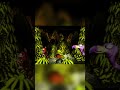Donkey Kong Country World 6 boss: Master Necky snr #donkeykongcountry #retrogaming #dkc #snes #short