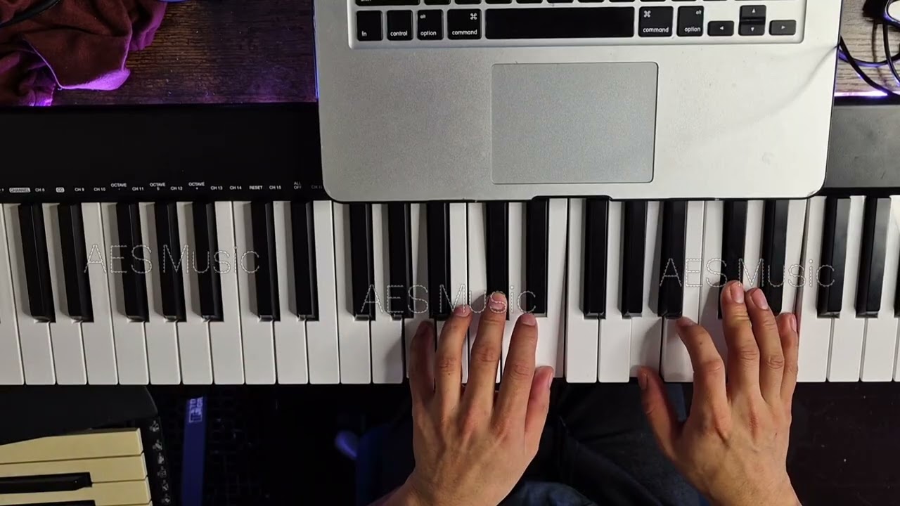 Tutorial Acompañamiento 