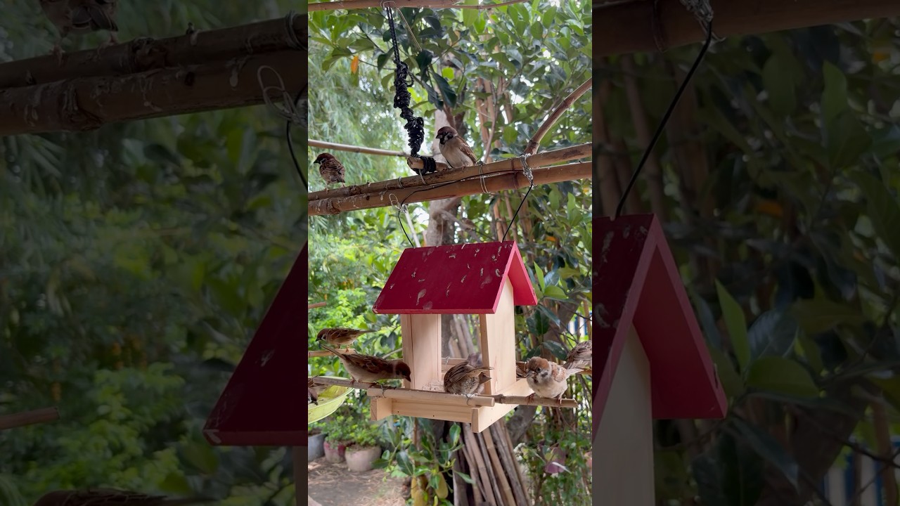 Release your mind ❤️