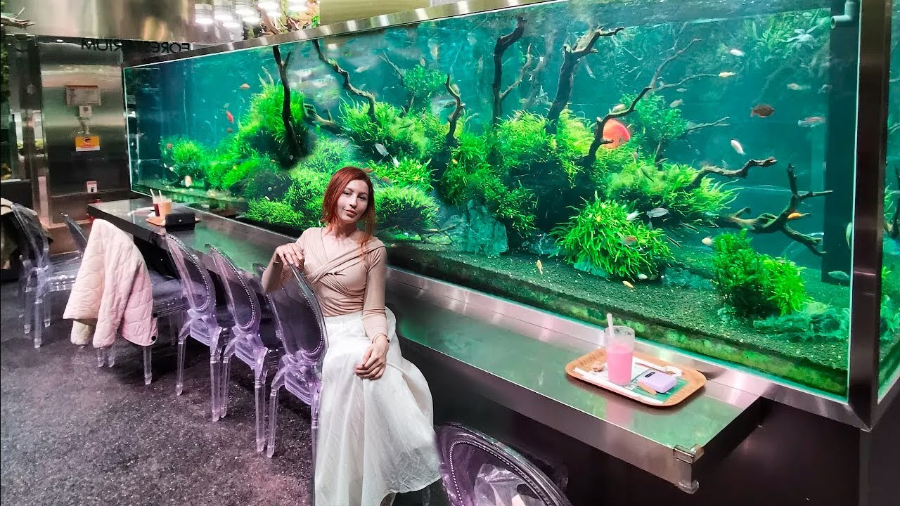 Aqua garden | кафе в Южной Корее | Природный аквариум