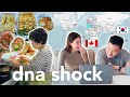 Were what  dna test results of korean canadian couple  mil cooking holiday food