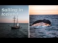 Setting sails towards sustainability in Iceland