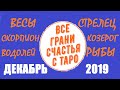 Гороскоп на Декабрь 2019 по знакам Зодиака! Часть 2 Идеальная пара #127