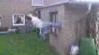 Flashkick Wallflip oder so
