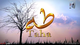 ما معنى اسم #طه وبعض من صفات حامل هذا الاسم على قناة معاني الاسماء #taha