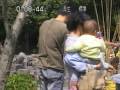 わっぱ沢親水公園「桜まつり」「+201回」