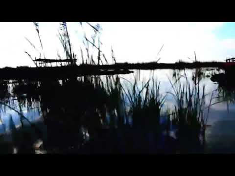 حبيبت عمري روحي الناصريه مصطفى الربيعي الجبايش