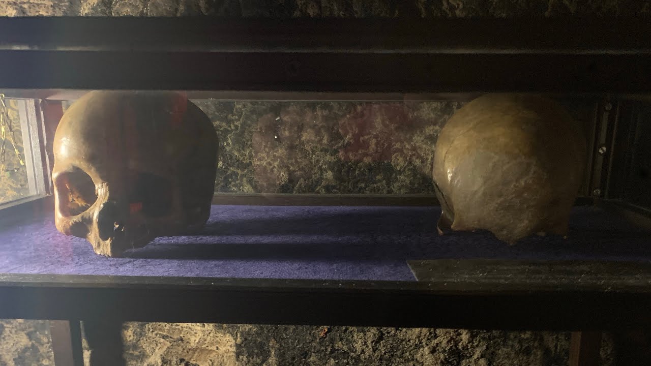 BEYOND THE NORMAL-  MUSEUM OF CURIOSITIES