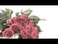 【泣ける歌】感動の切ない失恋ソング!バラの花がテーマの曲「Rose」歌詞付き 高音質 / 小寺健太(Short Version)