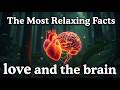 The Most Relaxing Documentary About love and the brain to Fall Asleep To