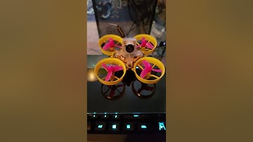 Beebrain V2 Problem