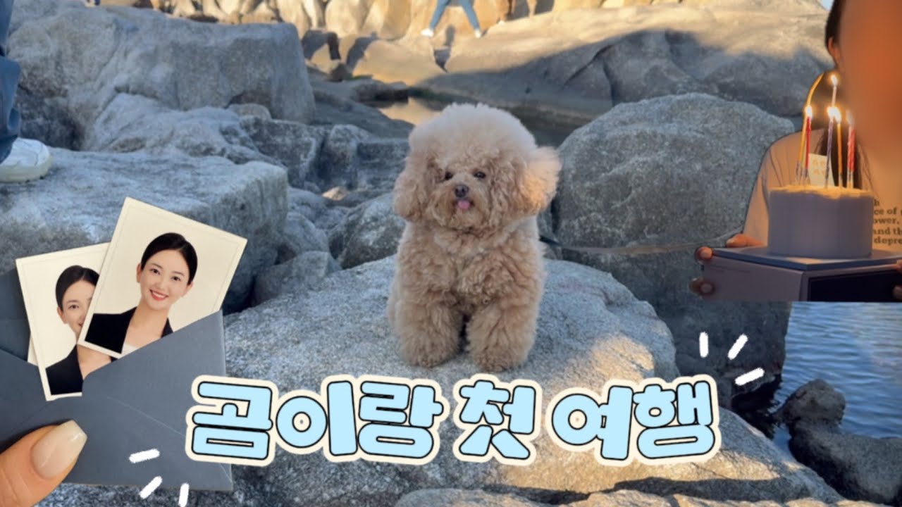 곰이랑 첫 여행은 바로 속초•양양 | 성심당 | 성수 | 취업사진 찍기 