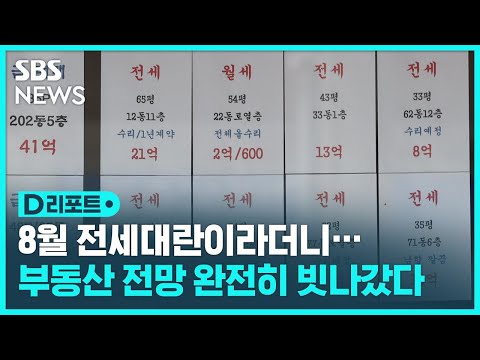   8월 전세대란이라더니 부동산 전망 완전히 빗나가 SBS D리포트