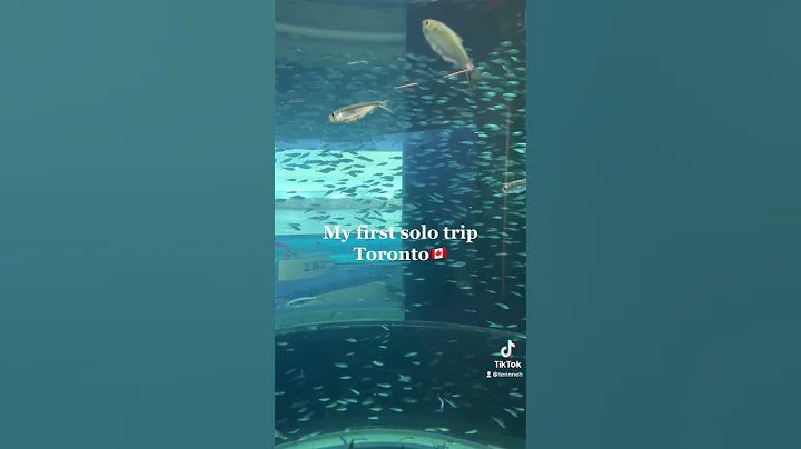 Took my first solo trip to Toronto this year.