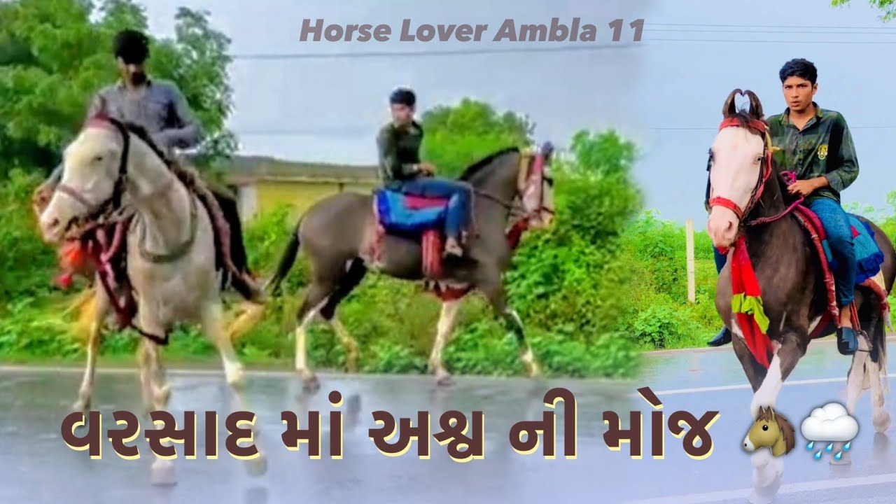 વરસાદ માં અશ્વ ની મોજ 🐴🌧️ Monsoon Horse Riding New Gujarati Video