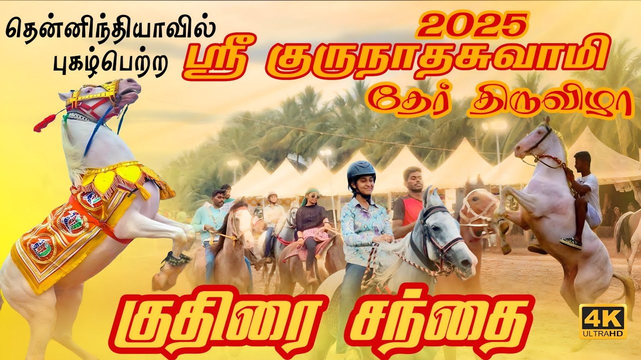 Gurunathaswamy Temple |தேர் திருவிழா|அந்தியூர் குதிரை சந்தை | மாட்டு சந்தை |குதிரை பந்தயம் |2025