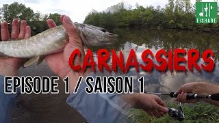 Pêche en UL du brochet : poisson nageur et cuiller - [Série Carnassiers]