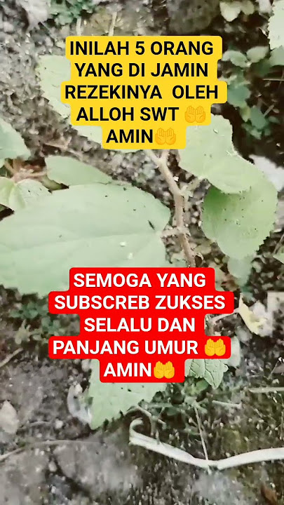 5 ORANG YANG  REZEKINYA DI JAMIN OLEH ALLOH SWT 🤲AMIN🤲 #VIRAL VIDEO SHORT 🤲🤲🤲🤲🤲