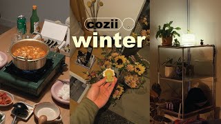 Cozii Winter Hiking Winter Night Market Muji Shelving