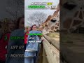 Ranking the Funniest Zoo Videos That Will Make You #funnyanimals#trynottolaugh