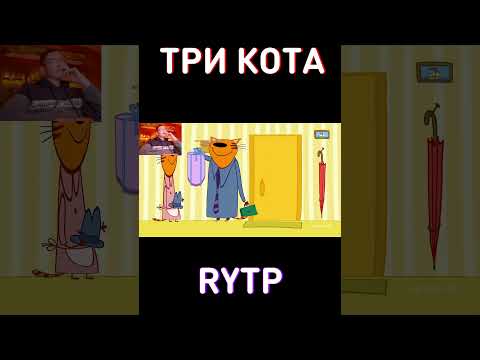 ПРИНЕС С РАБОТЫ КЕК RYTP Три Кота