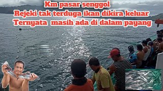 km pasar senggol ll rejeki tak terduga ikan dikira keluar ternyata masih ada di dalam payang