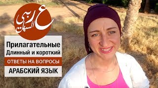 Длинный и короткий. Прилагательные. + Бонус. Живой арабский с Еленой Клевцовой. Длинный и короткий. Прилагательные. + Бонус. Живой арабский с Еленой Клевцовой.