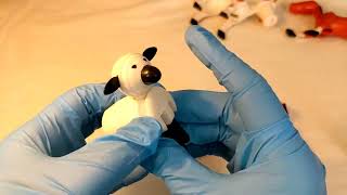 ASMR | Inspecting & Cleaning Plastic Animals - Glove Sounds, No Talking