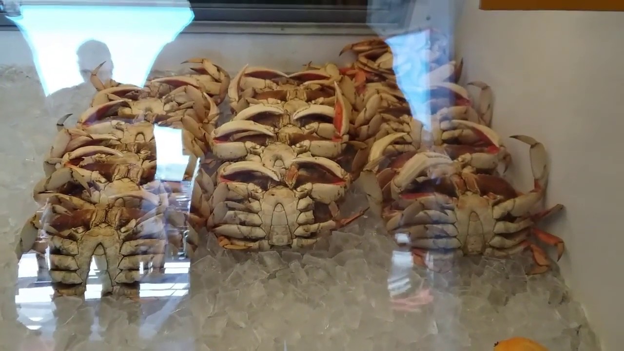 Hiking at Bodega Head, Bodega Bay, California