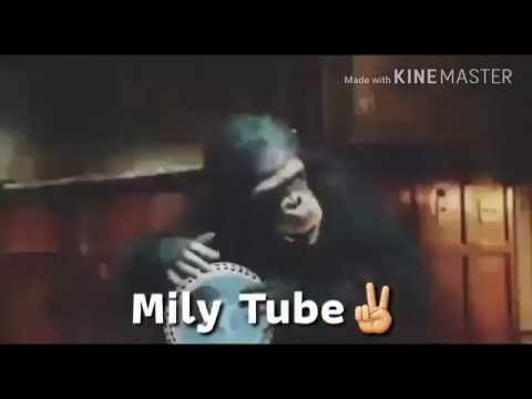 قال جاني بعد يومين حالات واتس حسن الخلعي