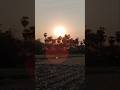Village life#village evening vibes#villagelifestyle#nature#