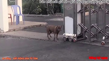 BÁN NHÀ CŨ GIÁ RẺ ĐẦU TƯ QUẬN 2,9 | NHÀ NÁT GIÁ ĐẦU TƯ 2 -3-5 tỷ RẺ NHẤT TPHCM 2020