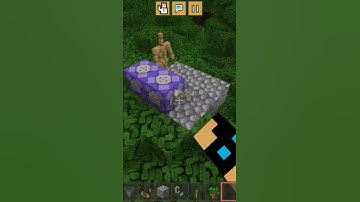 The auto setblock.......