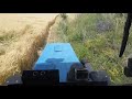 Измельчение и опашка пшеницы 🚜