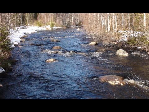 Kutupaikkojan kunnostus, spawning